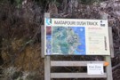 Matapouri Bush Track