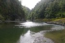 Raukumara Forest Park
