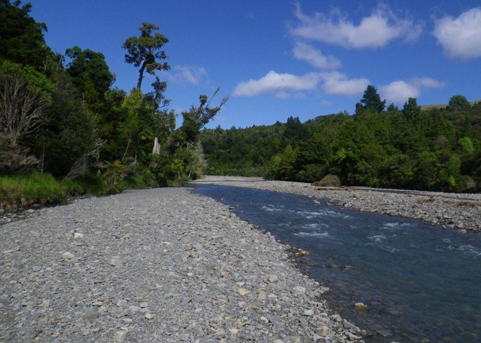 Kopuapounamu River - Raukumara Forest Park