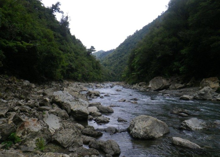 Raukokore River - rapids below Te Kumi