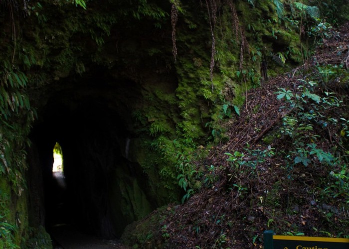 Goldsborough tunnel