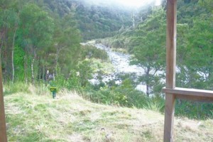 Totara Creek