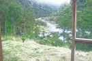 Totara Creek