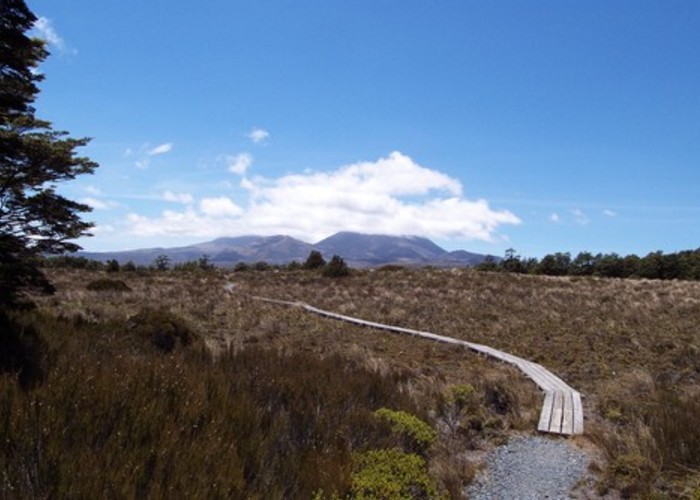 Ruapehu round the mountain track