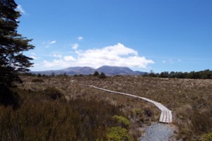 Ruapehu round the mountain track