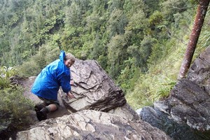 Ananui falls