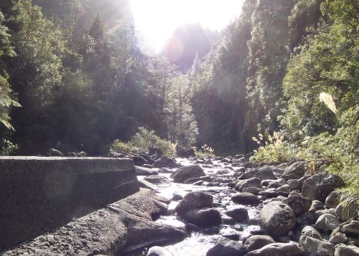 Waitawheta valley