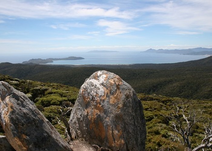 View of Codfish Island,on Stewart Is.Ernest Is and Mason Bay in foreground.