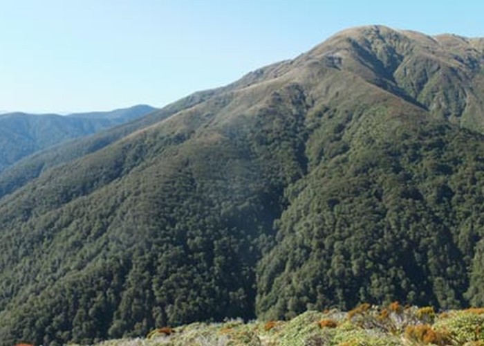 Table Ridge from Waiohine Pinnacles Spur