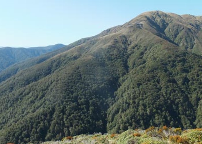 Table Ridge from Waiohine Pinnacles Spur