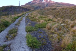 'The Puffer' - Mt Taranaki summit track