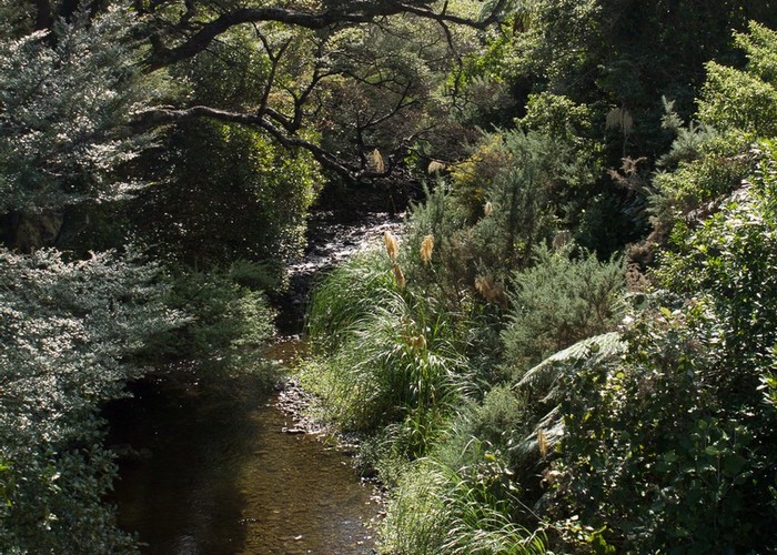 Graces Stream, Catchpool Valley