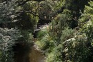 Graces Stream, Catchpool Valley