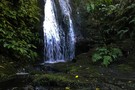 Anne's Falls, Omahu Bush