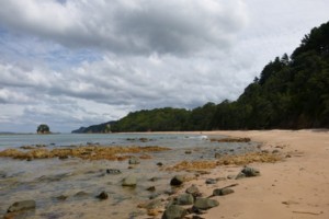 Otara Beach