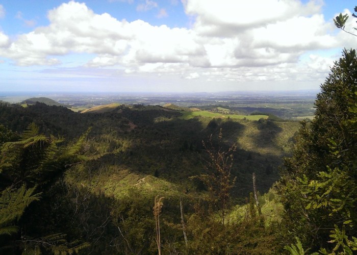 Otanewainuku to Te Puke qry rd ridge