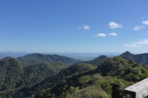 Pirongia View