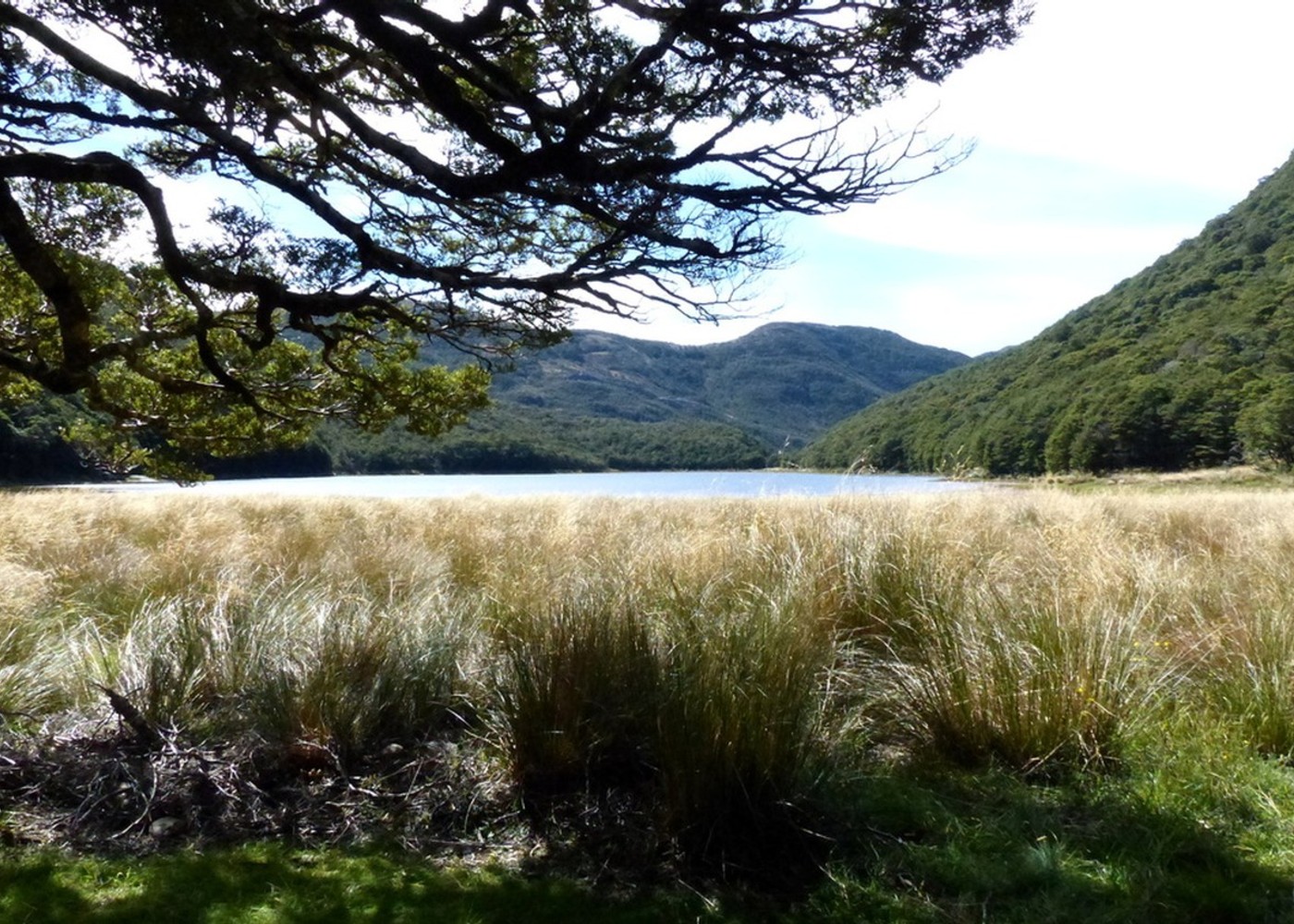 cobb-lake-new-zealand-tramper