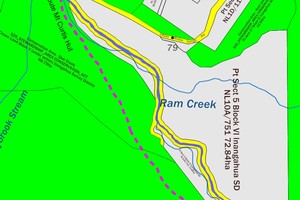 Dee Creek Track (Brunner Range)