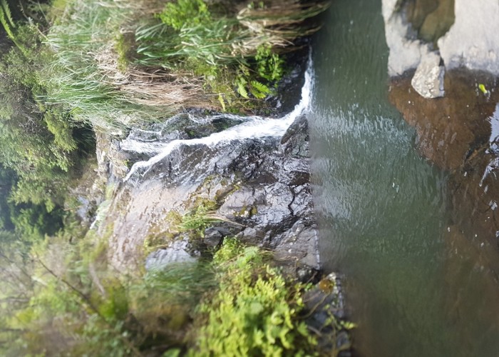 Waterfall, Tanekaha Falls Track