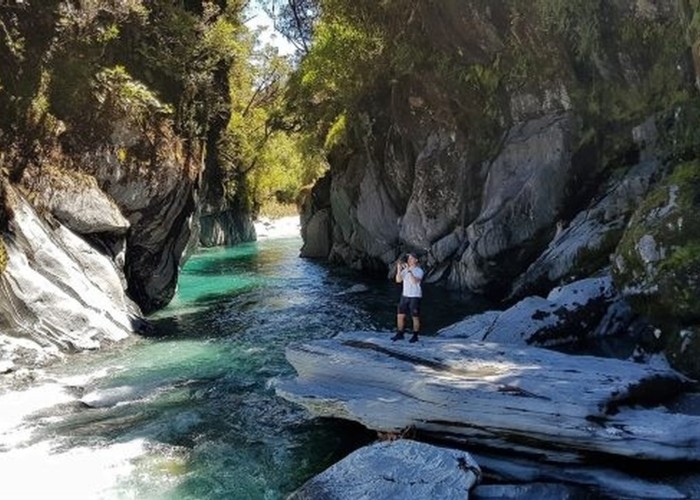 One of the gorges,the friendliest,in the Toaroha