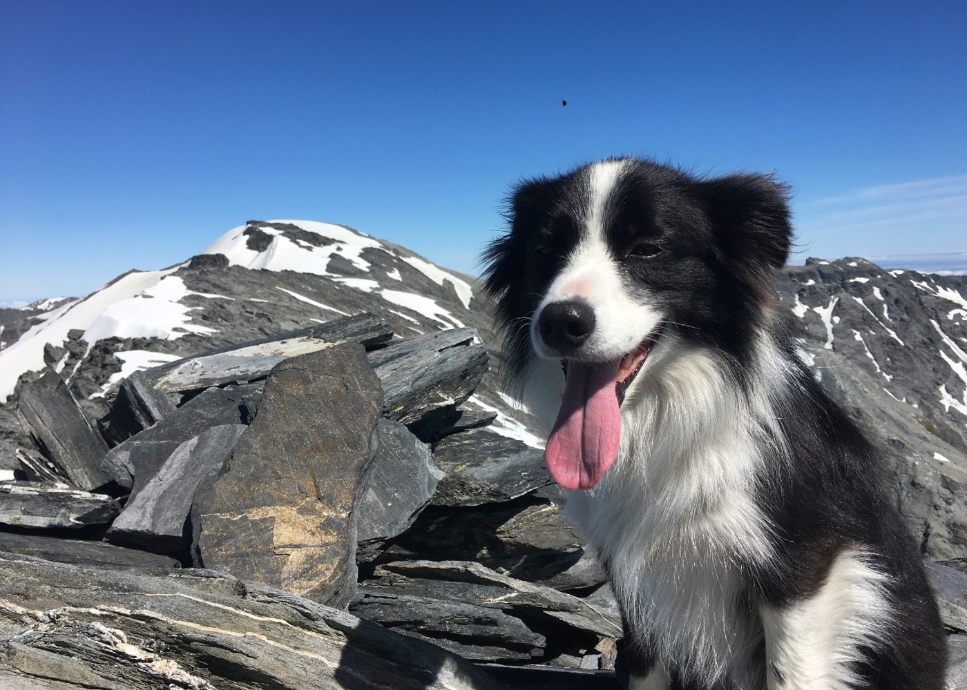 Mt Beaumont. New Zealand Tramper