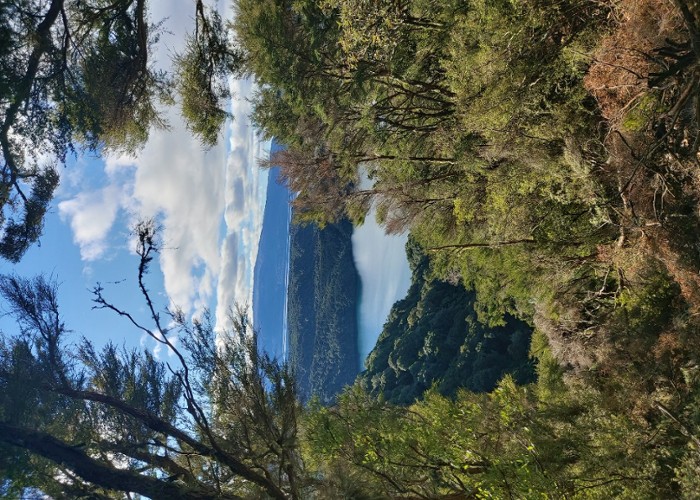 Tarawera Trail