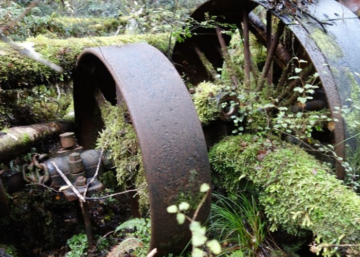 Sawmill relics off Kirwans Track