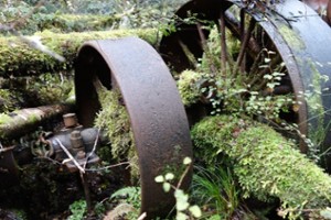 Sawmill relics off Kirwans Track