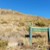 Te Kiekie route - Mt Somers
