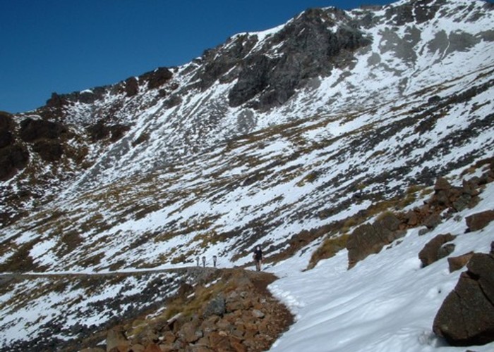 Kepler Track, below Mt Luxmore