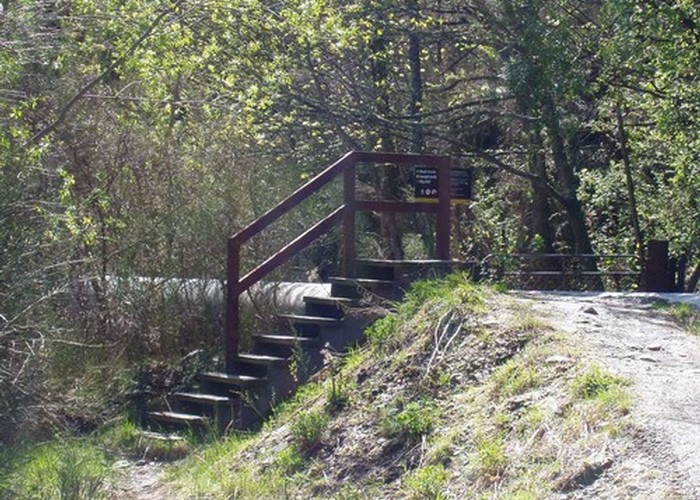 Sawpit Gully Walkway Trail Head - Bush Creek End