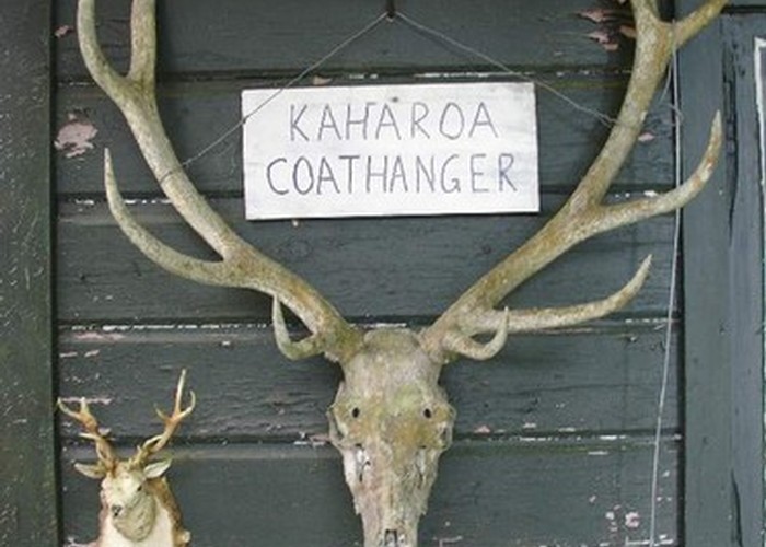 Kaharoa Coathanger