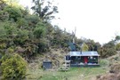 Whirinaki Te Pua-a-Tāne Conservation Park