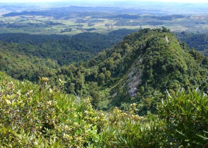 The View from Pukeatua