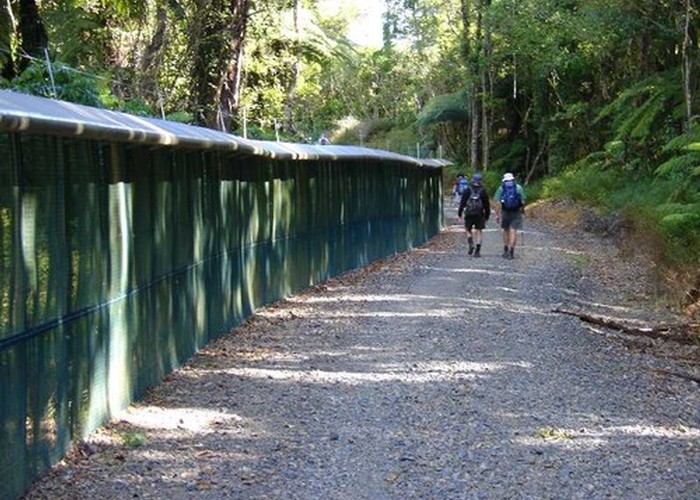 The Pest Proof fence around Maungatautari