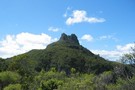 Kauaeranga Kauri Trail (Pinnacles Walk)