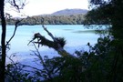 Lake Rotopounamu on an autumn morning