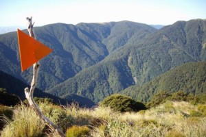 Triangle, a welcome sign