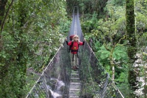 Pablo on the way to Atiwhakatu hut