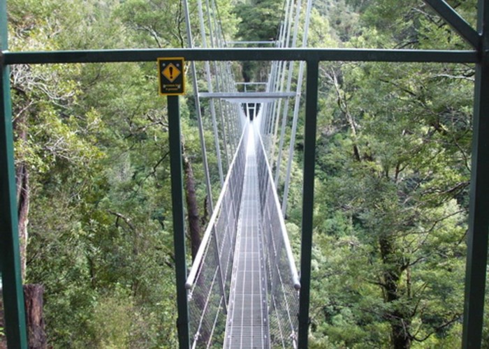 Bridge Waiohine road end