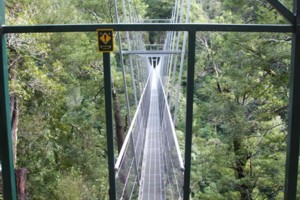 Bridge Waiohine road end