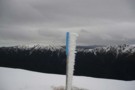 Snow Pole Ruahines