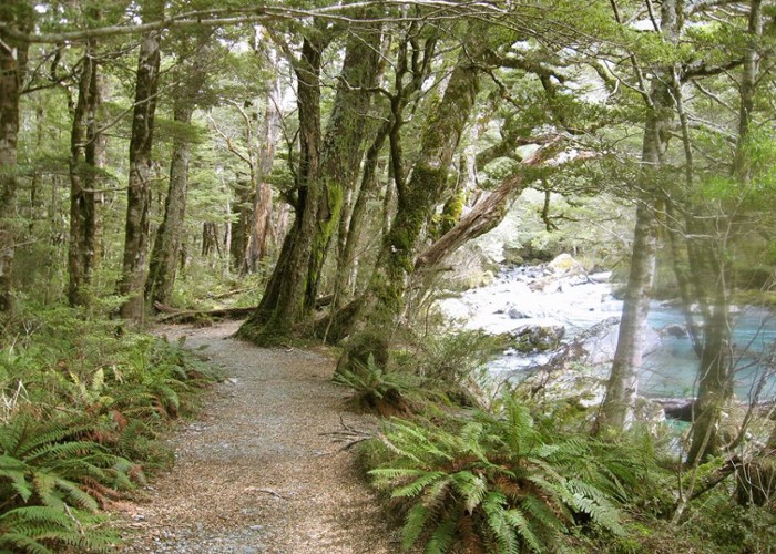 Routeburn Track and River