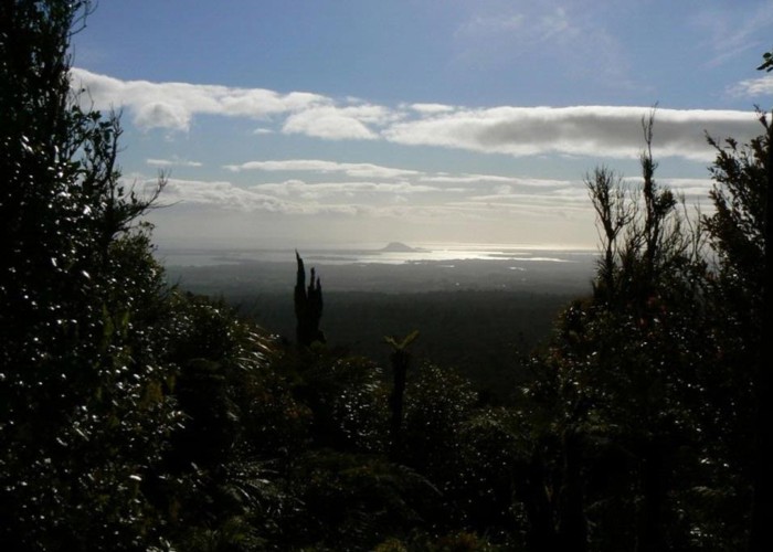 Puketutu View