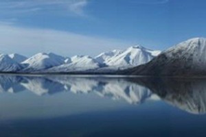 reflections in lake Heron