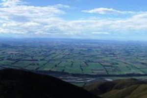 Canterbury plains