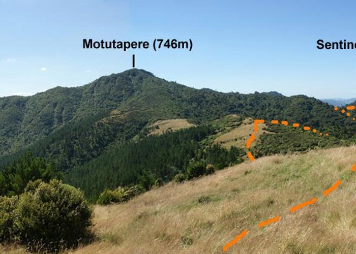 Motutapere Hut