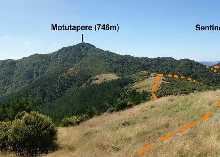 View to Motutapere and Sentinel Rock