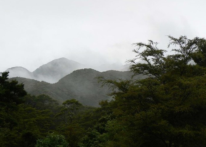 View East from Te Matawai Hut